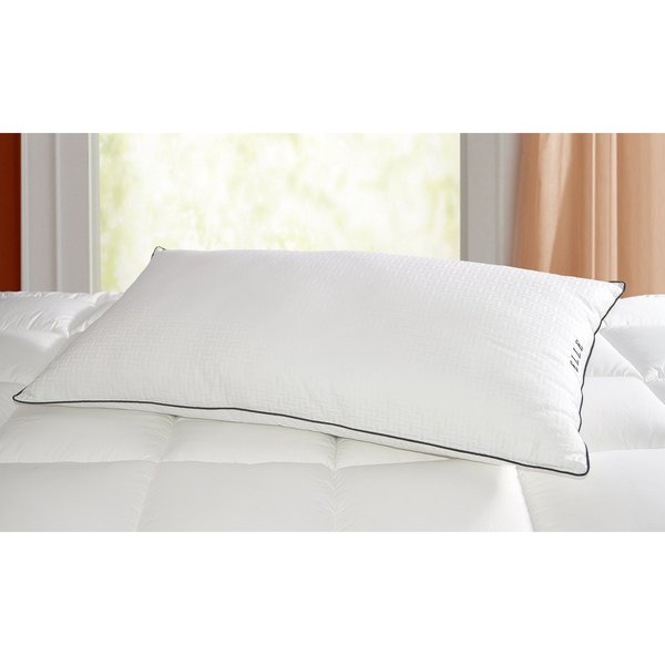 Elle Specialty Size Pillows, 16" x 22" EL226009k